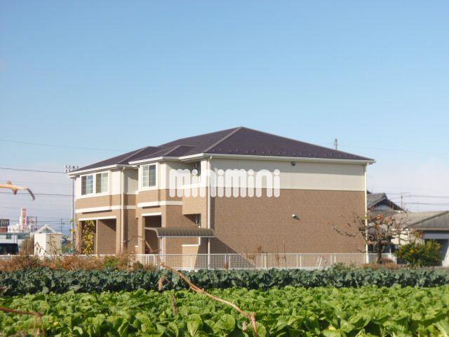 サンコートブロッコリー