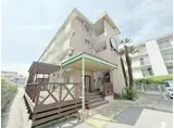 パピーコート