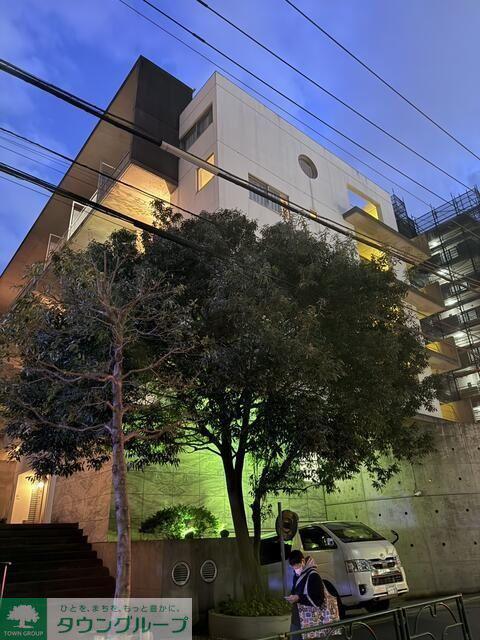 MT COURT
