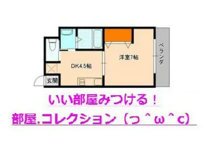 コンダクトNO1ビル(1DK/7階)の間取り写真