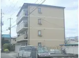 DEAR PLACE梅津1
