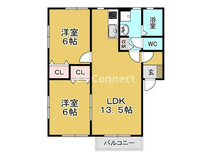 ロマネC棟(2LDK/2階)の間取り写真