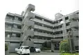 昭和マンション野草園