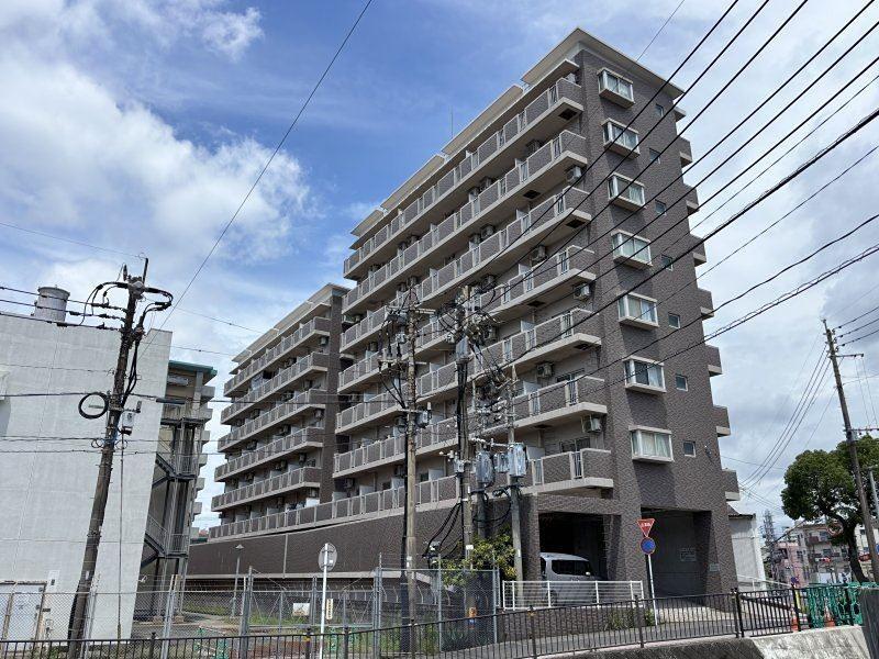 ヨーロピア甲東