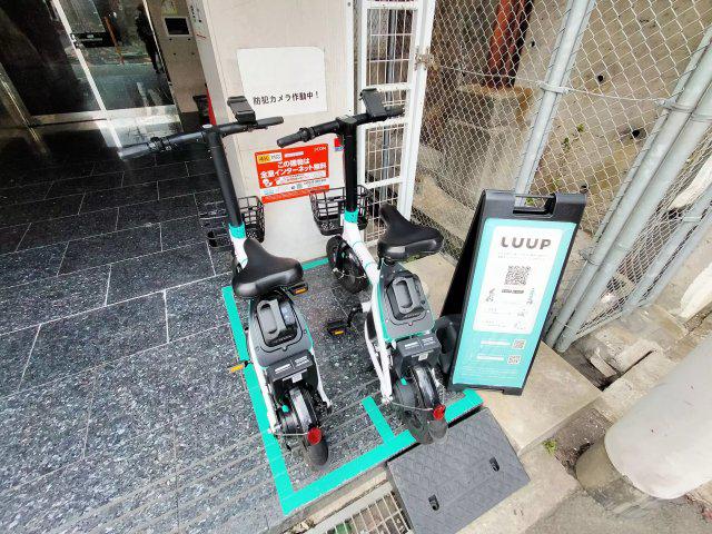 スティープルM&039S
