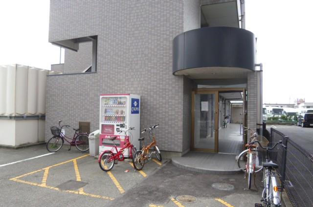 サンライフ大樹