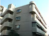 コンフォートステージII