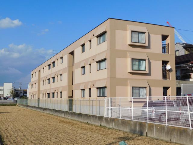 グレイシー丸川