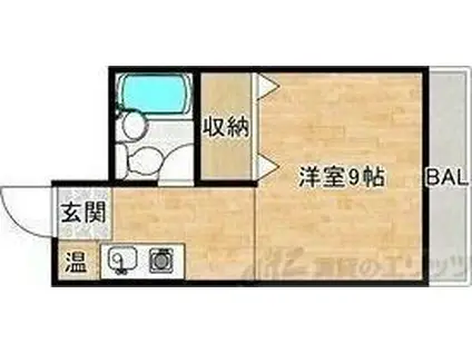 シャトー金城(ワンルーム/2階)の間取り写真