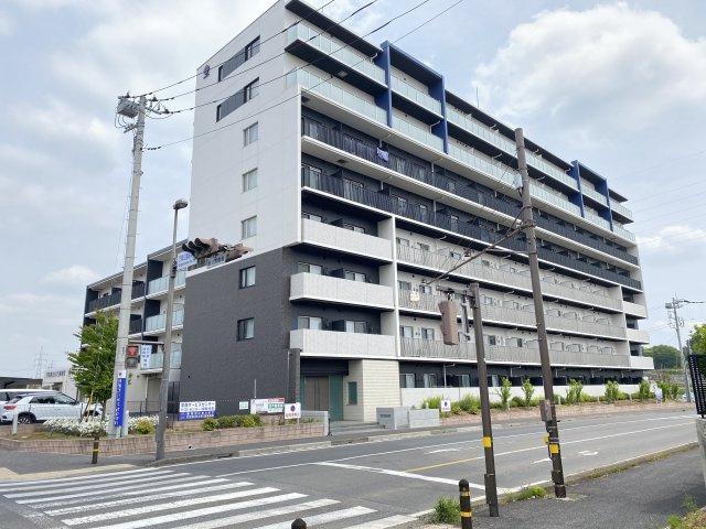 エキスポコンフォートII