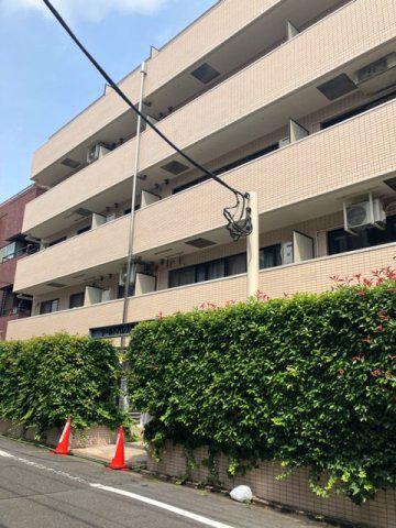 ワールドパレス学芸大学