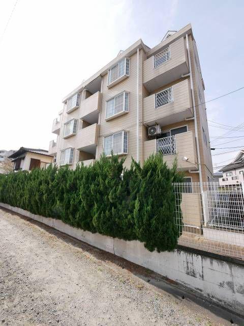 プロスパ6(2DK/1階)