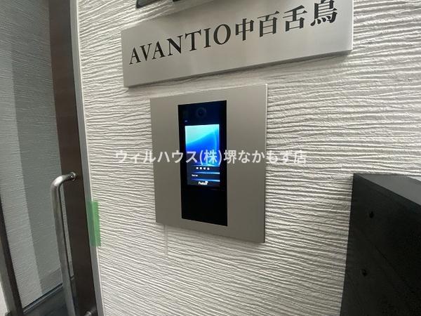 AVANTIO中百舌鳥