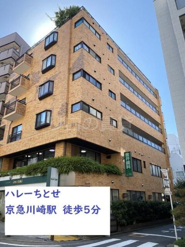 ハレーちとせ