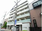 アーク松の木通