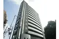 フェルト1113