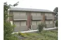 シュシュ