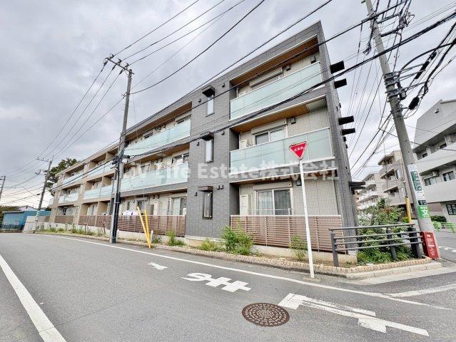 ステラ美光