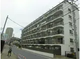 市川ファミリー第一マンション