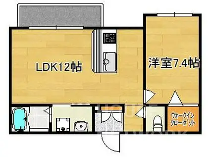 ソノリテ御室(1LDK/1階)の間取り写真