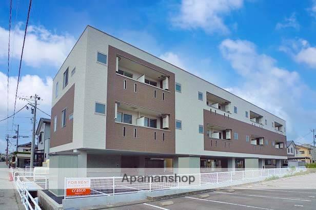 アマンシエル増泉
