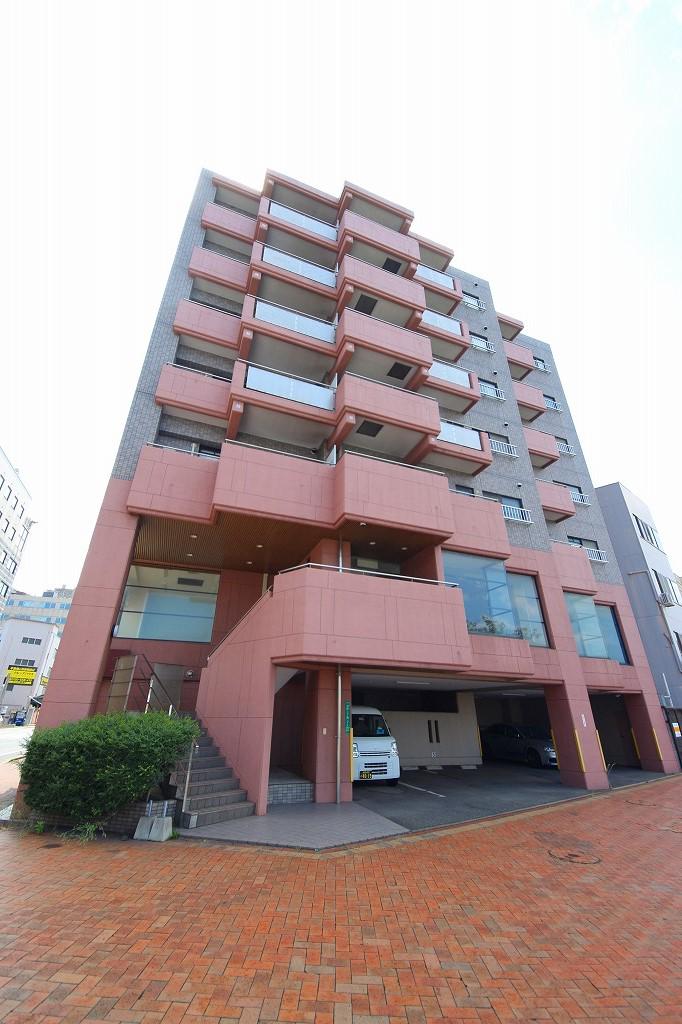 ニシキグレイス浅野