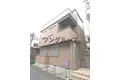 シルバーグレイス