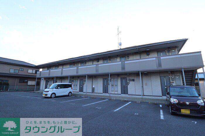 ステラコート