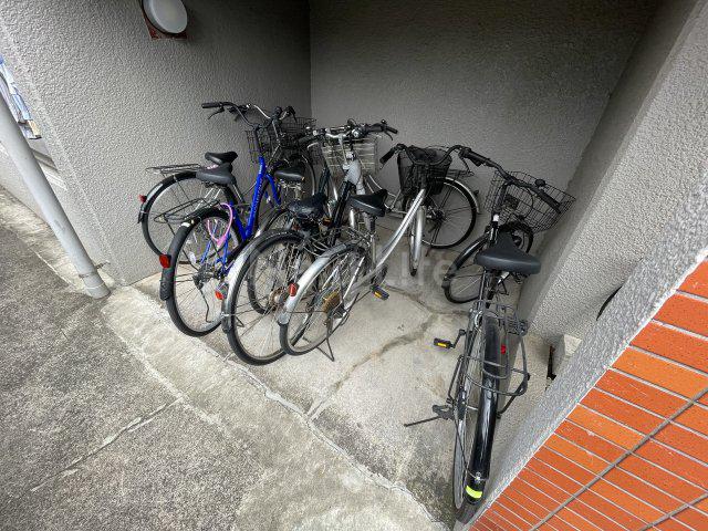 セザール久地