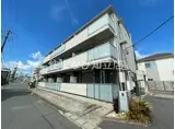 マルベリー