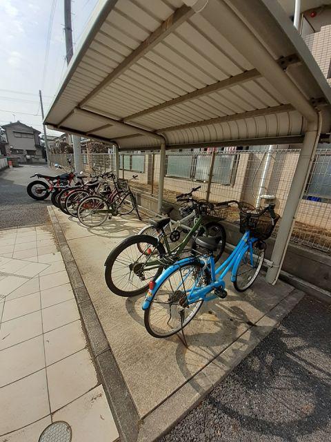セレノカーサ リーヴォ
