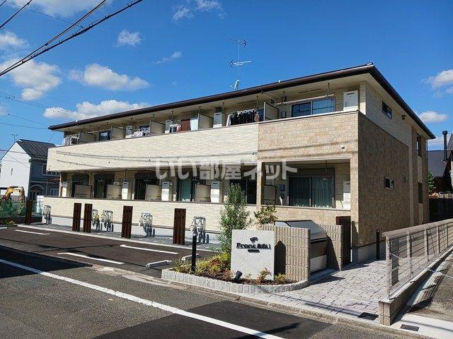 フランあおい
