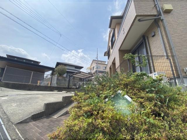 アゼリア