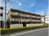 モア・ライフ芝