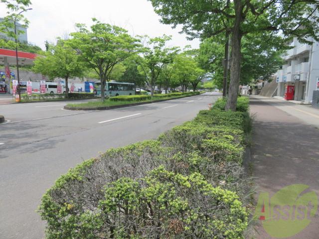 ヴィラ青葉