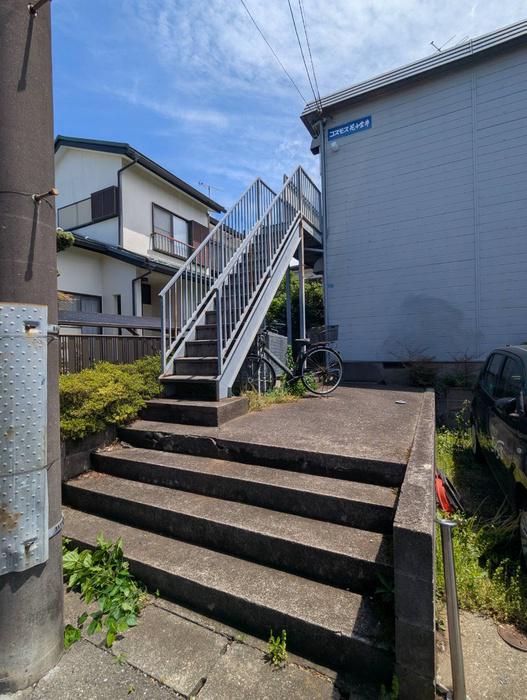 コスモス花小金井