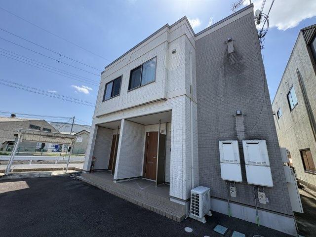 パインフィールド松