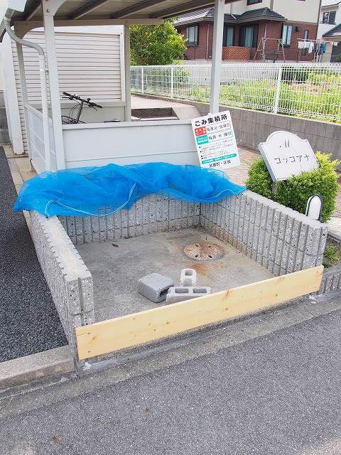 コッコアナ2