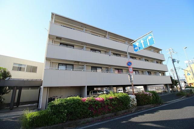ジェンティールTATEISIII