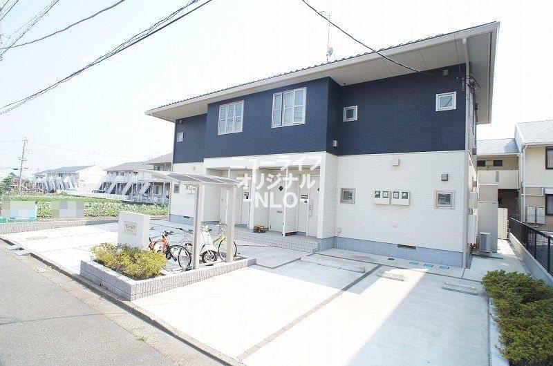 フリージア