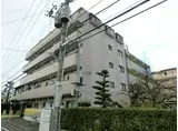 RS SATOH BLD