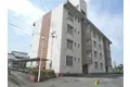 コーポ江戸屋敷