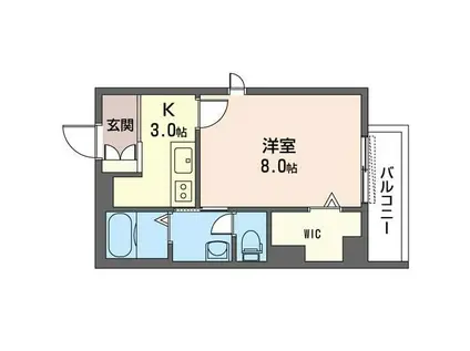 セルディーナ(1K/1階)の間取り写真