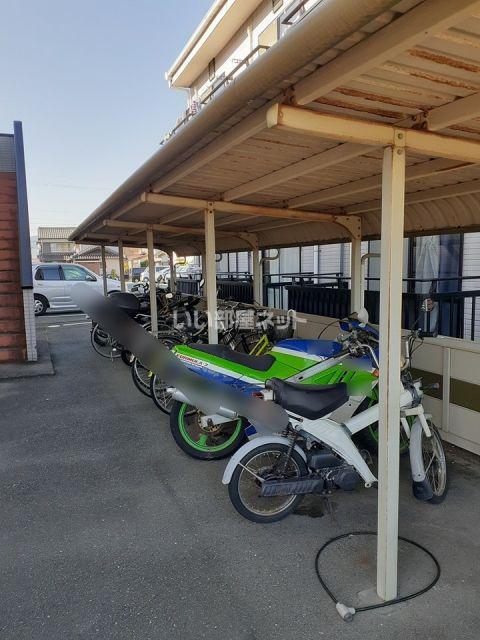 ウイングコートステラ D