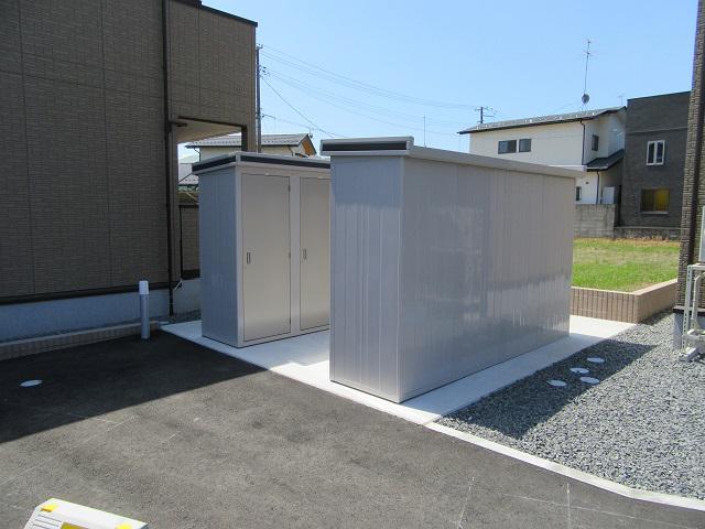 アネシス土瓜