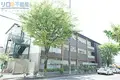P-スマイルカーサ