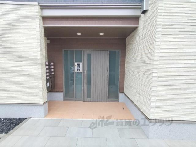 アプリコット4