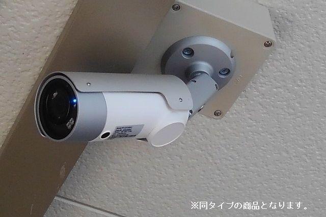 ウィズ バディーズ