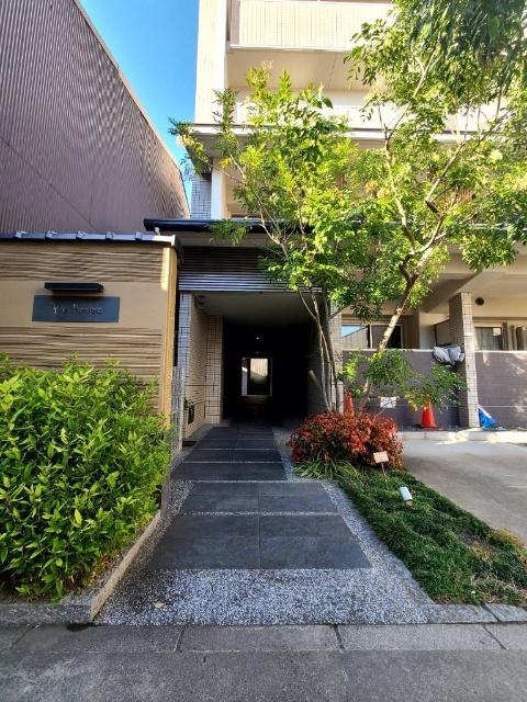 YS HOUSE