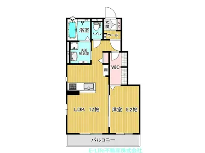 T.MレジデンスIII(1LDK/1階)の間取り写真